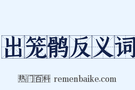 出笼鹘反义词是什么意思的图片